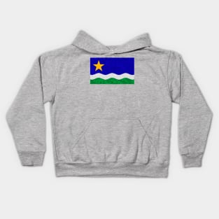 State flag of Minnesota Kids Hoodie